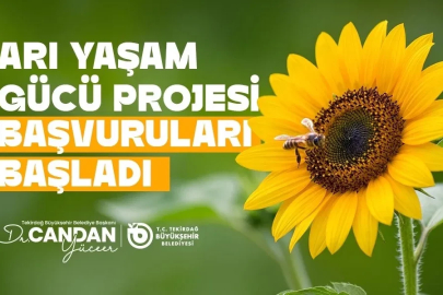 Tekirdağ’da arıcılara yem desteği başvuruları başladı
