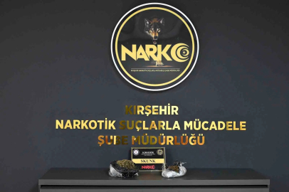 Kırşehir’de uyuşturucu operasyonu: 2 kişi tutuklandı
