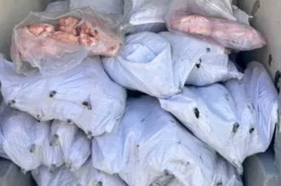 Tekirdağ’da 1,5 ton iç yağ ve 140 kokoreç imha edildi
