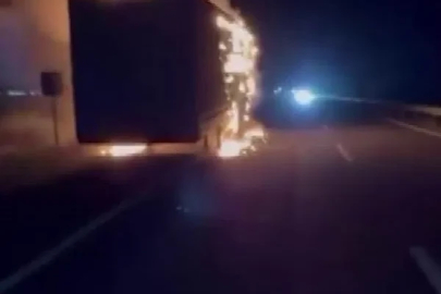 Diyarbakır’da seyir halindeki tır alevlere teslim oldu

