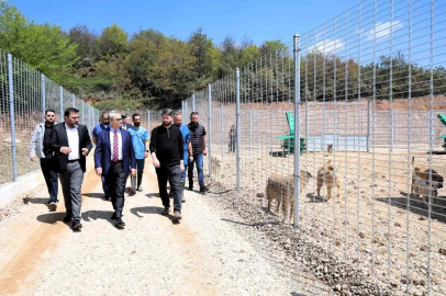 Kocaeli’de 650 köpek kapasiteli yeni barınak hizmete alındı
