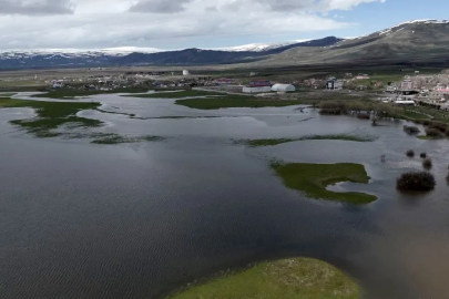 Kura Nehri taştı, tarım arazileri sular altında kaldı
