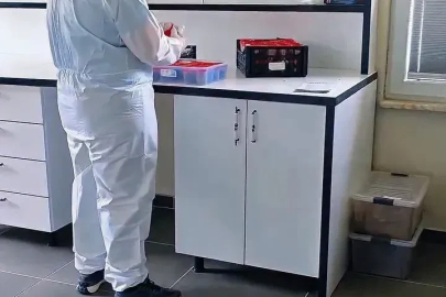 Sinop ormanlarında biyolojik mücadele güçleniyor
