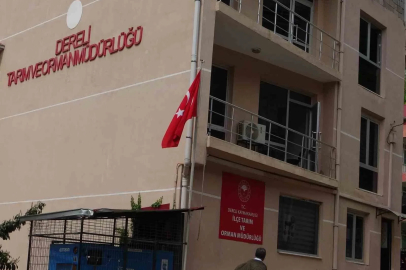 Giresun’un Dereli İlçe Tarım ve Orman Müdürlüğü’nde kamu zararı iddialarıyla ilgili soruşturma başlatıldı
