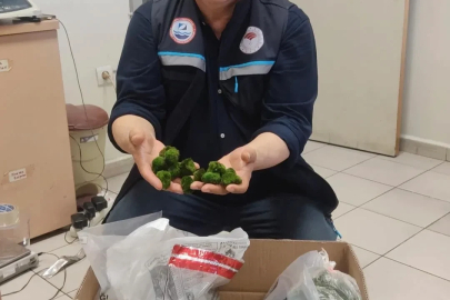 Kapıkule’de yolcu otobüsünde 2 bin adet canlı yeşil alg ele geçirildi
