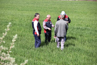 Yağışlar sonrası çiftçilere hububat tarlalarında hastalık riski uyarısı: "Hastalık çıkmadan önce alınan tedbirler verimi korur"
