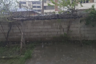 Erciş’te şiddetli yağmur yağışı
