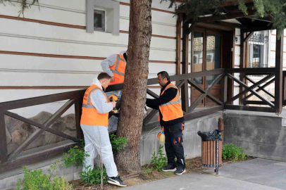 Talas’tan çevre dostu ilaçlama atağı
