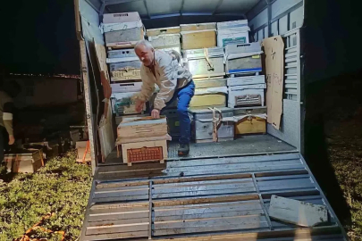 Karadeniz’in gezgin arıcıları yeni sezon için Doğu Anadolu’nun dağlarını mesken tuttu
