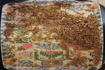 Çanakkale’de evinde uyuşturucu yetiştiren 2 kişi yakalandı
