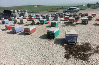 Batman’da araç arızalanınca binlerce arı telef oldu
