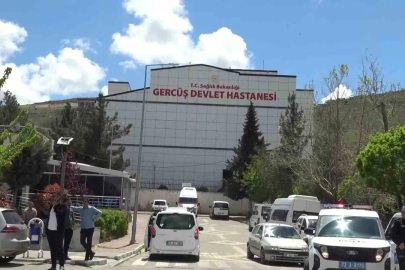 Piknikte akrep sokan kadın hastanelik oldu
