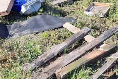 Kovanlarına ayının saldırdığını gören arıcı, "Çilingir sofrası olmuş"
