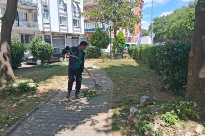 Efeler’de parklar yaza hazırlanıyor
