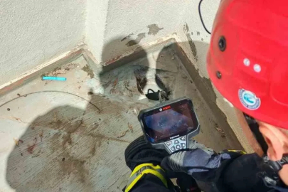 Su borusuna düşen 3 yavru kedi itfaiye tarafından kurtarıldı
