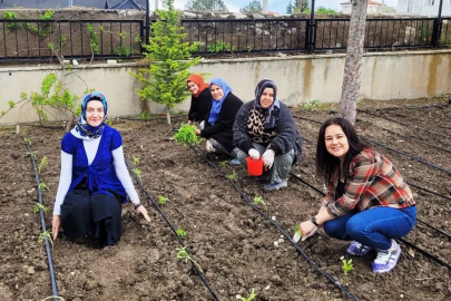 Altıntaş’ta öğretmenler domates fidelerini toprakla buluşturdu
