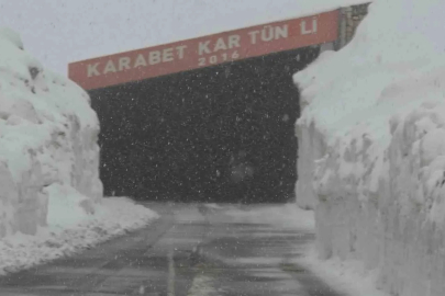 Van’ın yüksek kesimlerde kar yağışı etkili oldu
