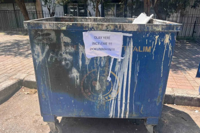 İzmir’de çöpte 33 ölü kedi bulunmasıyla ilgili bir veteriner gözaltına alındı
