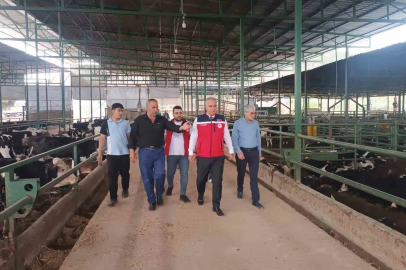 Kurban Bayramı öncesi hayvan satış yerlerinde sıkı denetim

