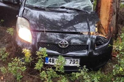 Kontrolden çıkan otomobil ormanlık alana uçtu: 1 yaralı
