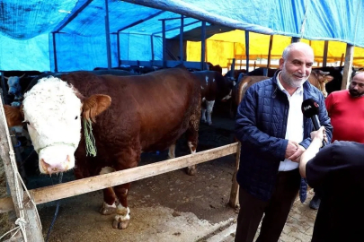 Kurban pazarının ’Paşa’sı 1,3 tonluk boğa
