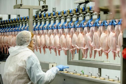 Beyaz Et Sektörüne Operasyon: 32 Kişi Gözaltına Alındı, 13 Şirkete Kayyım Atandı