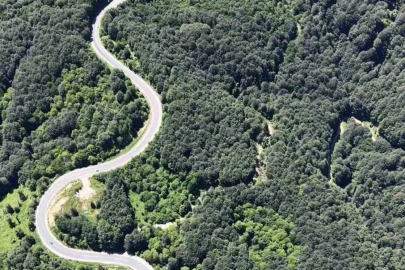 Bursa ormanlarında kartpostallık görüntüler

