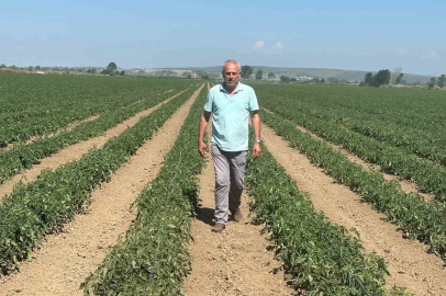 Sözleşme yaptığı firma ürünü almayınca 20 milyon lira zarar etti
