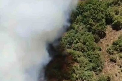 Bursa’da bir orman yangını daha
