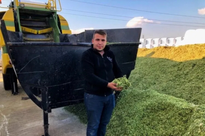 Silajlık mısıra ve samana talep arttı
