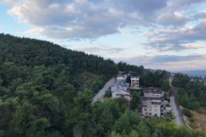Mahallede ’Ayı’ korkusu
