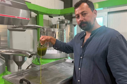 Avrupa ilaç yerine ilk hasat zeytinyağı içiyor
