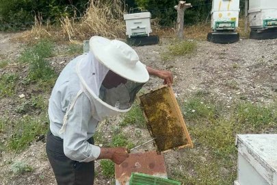 50 yıllık arıcı emekli başgardiyan 20 yıldır Avrupa’ya bal gönderiyor
