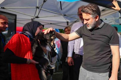 Büyükşehir’den can dostları için yuva seferberliği
