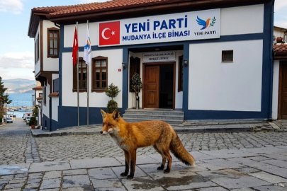 Mudanya Yeni Parti’nin Tilkileri…