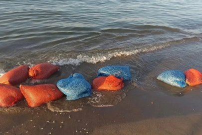 Yasa dışı kum şırlanı avcılığına geçit yok
