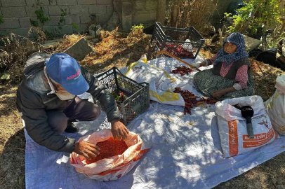 90 yaşındaki annenin evlat sevgisi acı biberi tatlı kıldı
