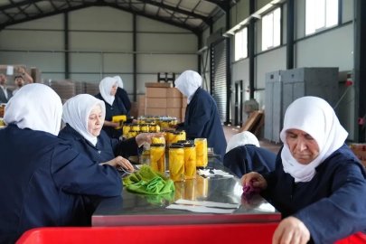 Gürsu Ovası’na kadın eli değdi
